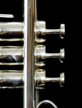 Stems - Cylinder Style